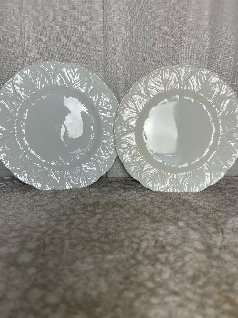 Wedgewood Coalport Countryware  Dinner Plates - Set of 2